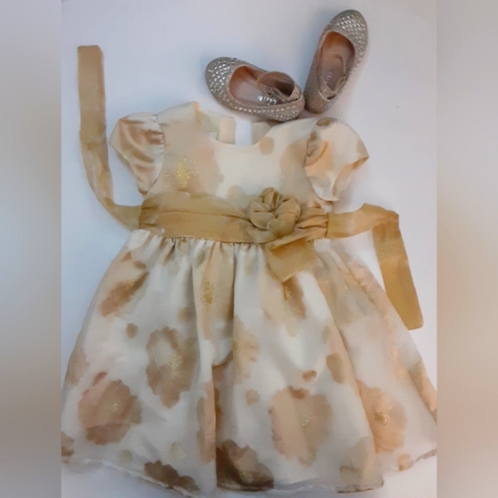 My baby girl dress with matching sparkly dressy shoes. (EBS)